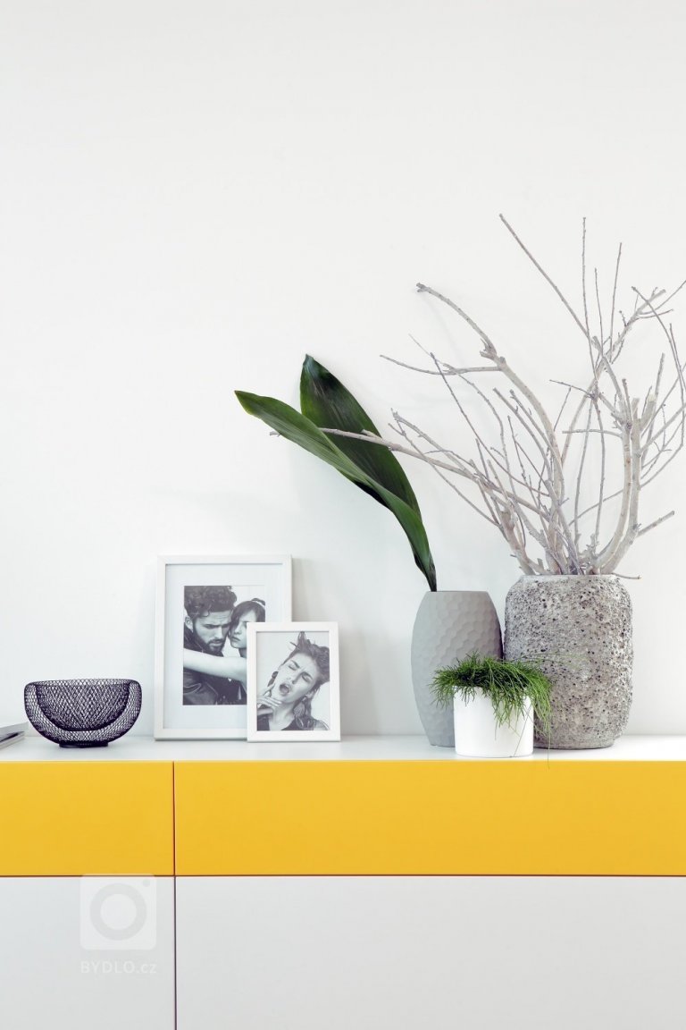 add picture to album