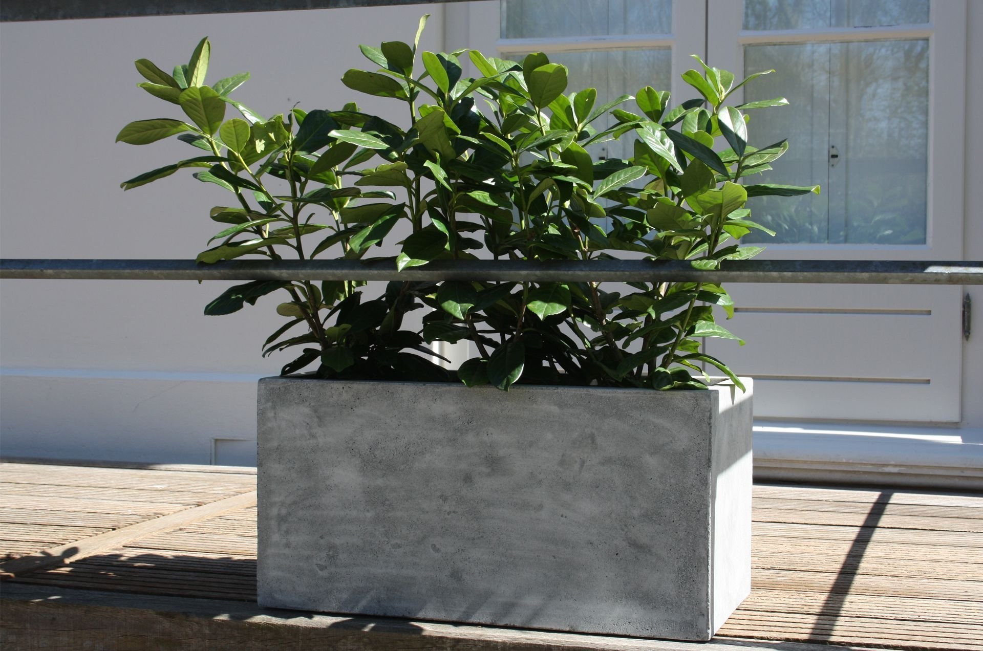 Květináče – čím dál častěji designová záležitost