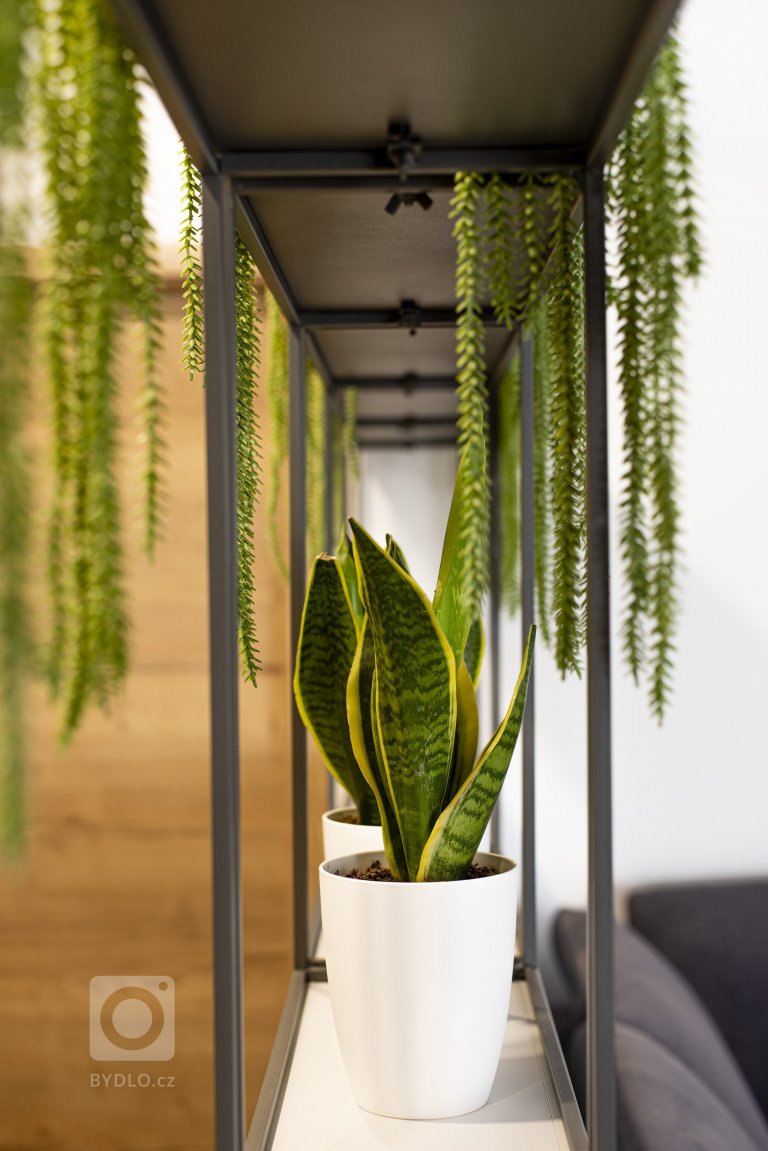 Tento prostor vznikl v přízemí domu na místě původního komerčního prostoru, kde jsme se museli přizpůsobit nosnému systému budovy a návaznosti na přístup do…