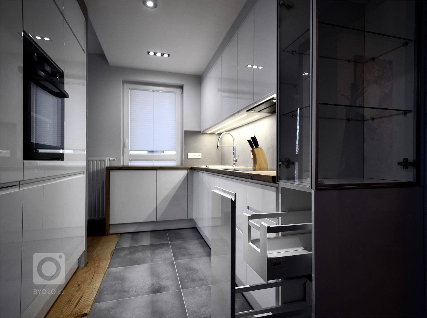 Moderní kuchyně v lesku