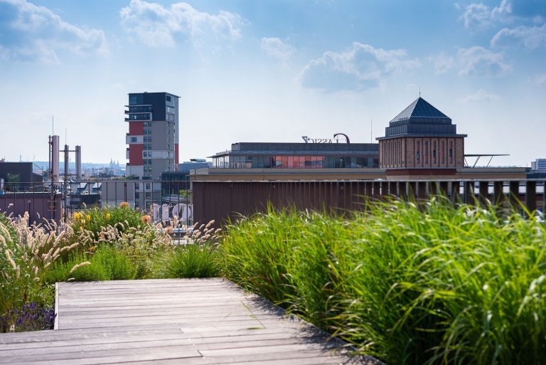 Bydlení se zahradou na střeše