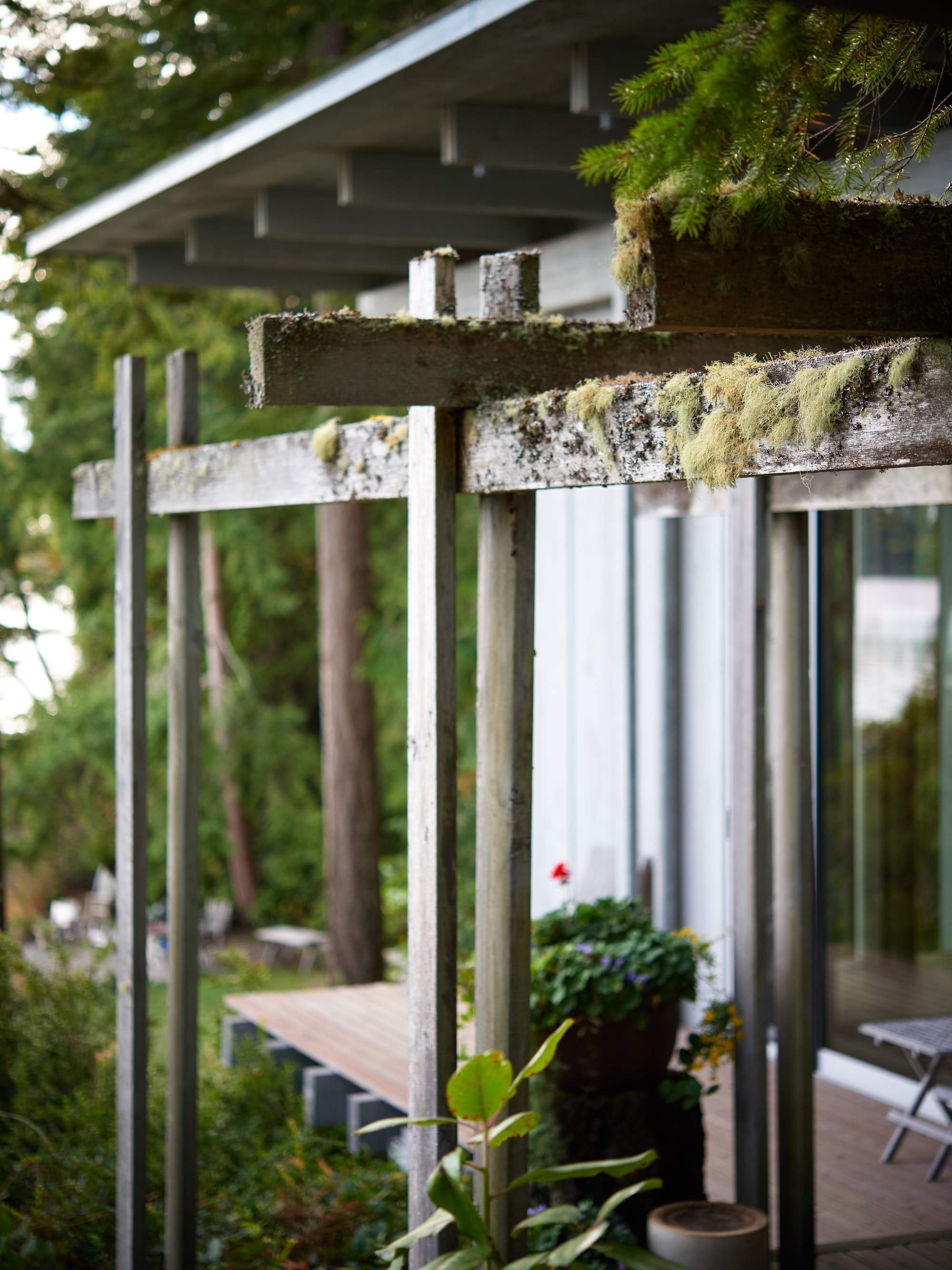 Domov uprostřed lesa budoval přes 60 let