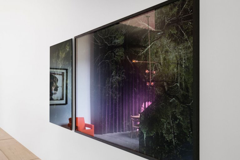 Dům, kde se ocel mísí se zelení