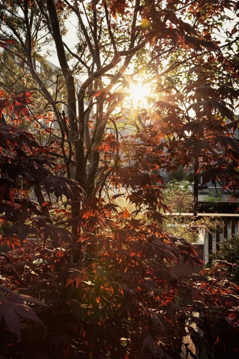 Dům, kde se ocel mísí se zelení