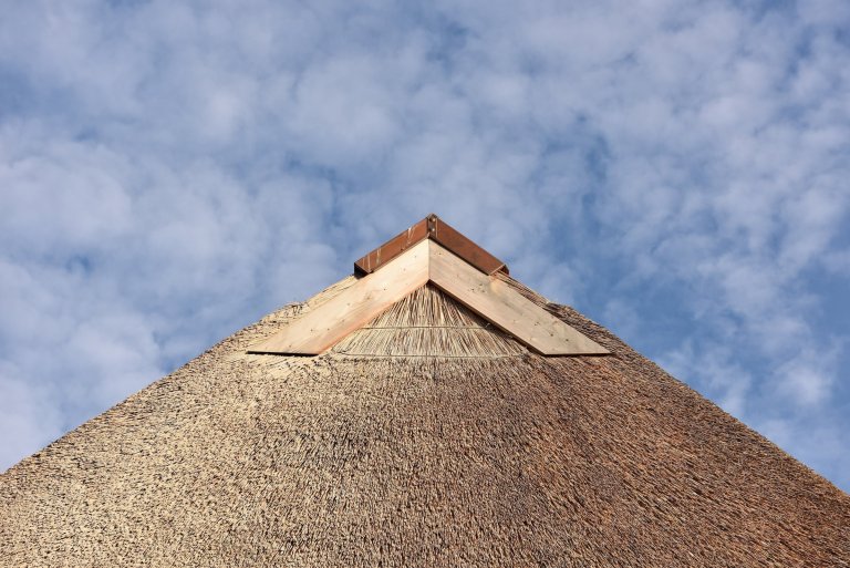 Dům s rákosovou fasádou