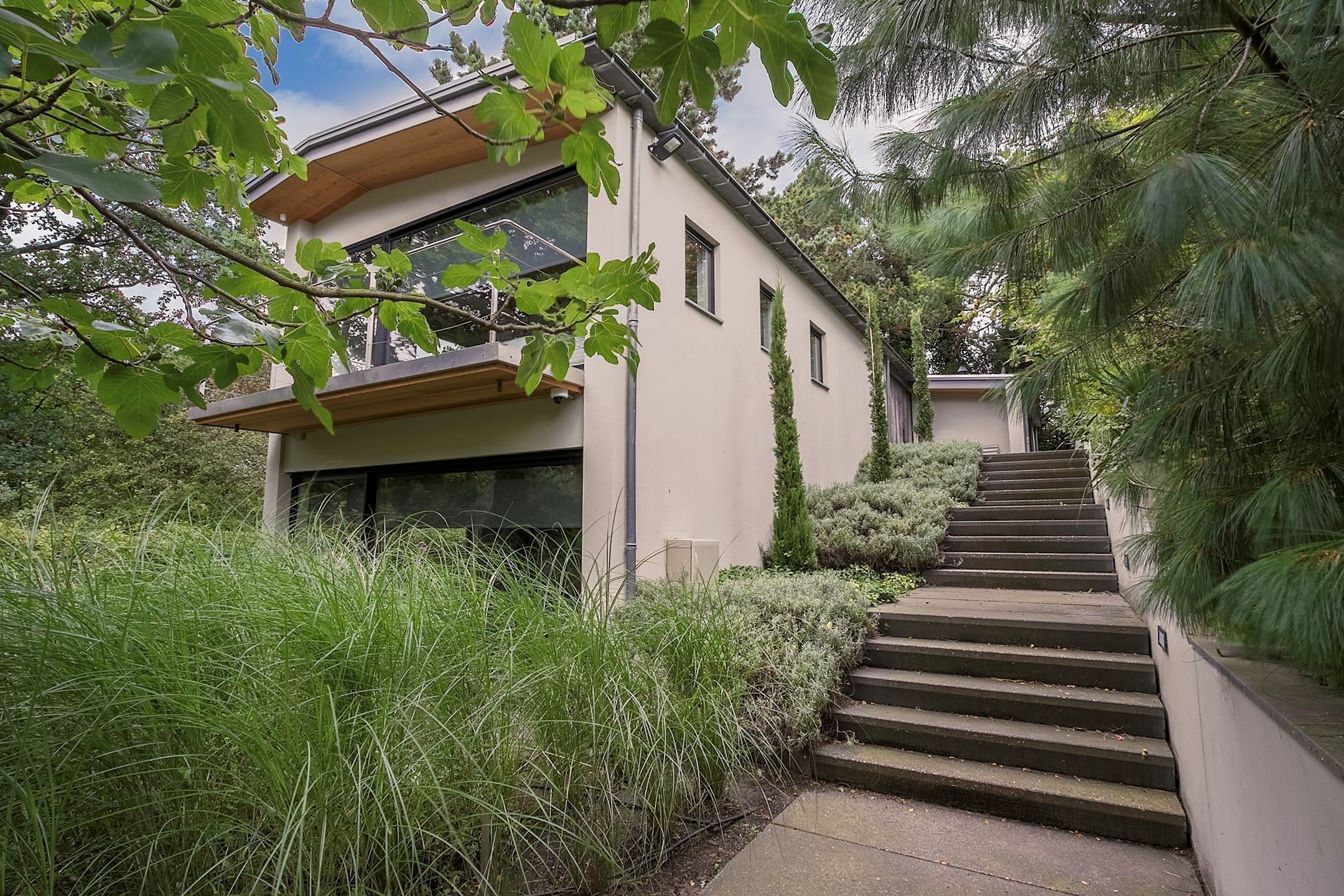 Dům obklopený lesem