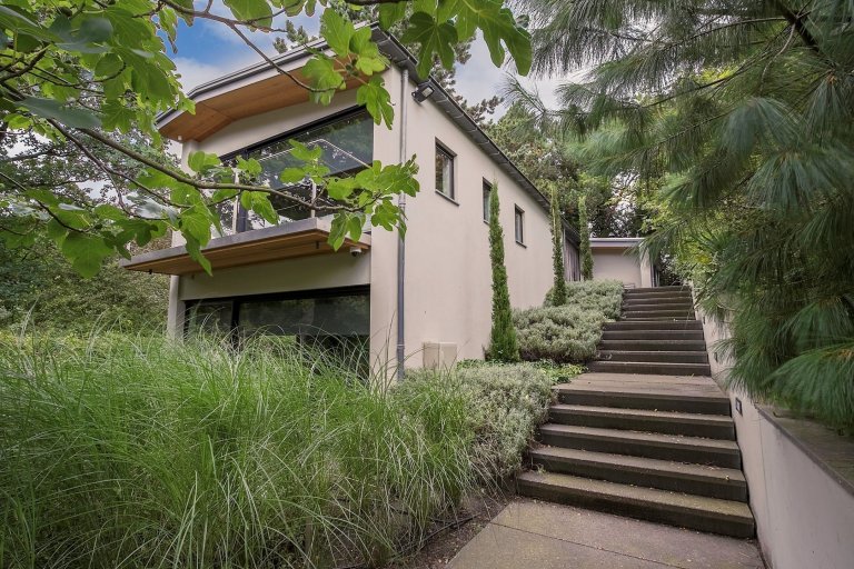 Dům obklopený lesem