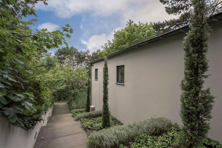 Dům obklopený lesem