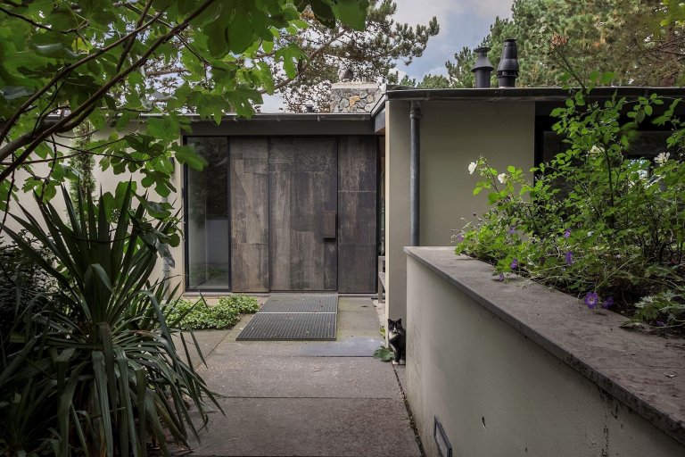 Dům obklopený lesem