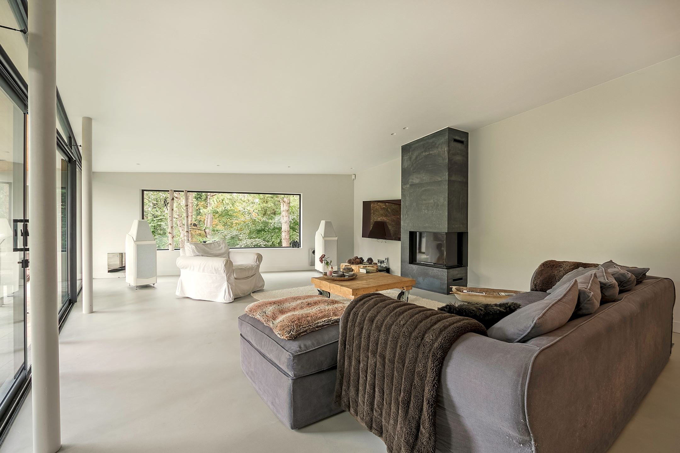 Dům obklopený lesem