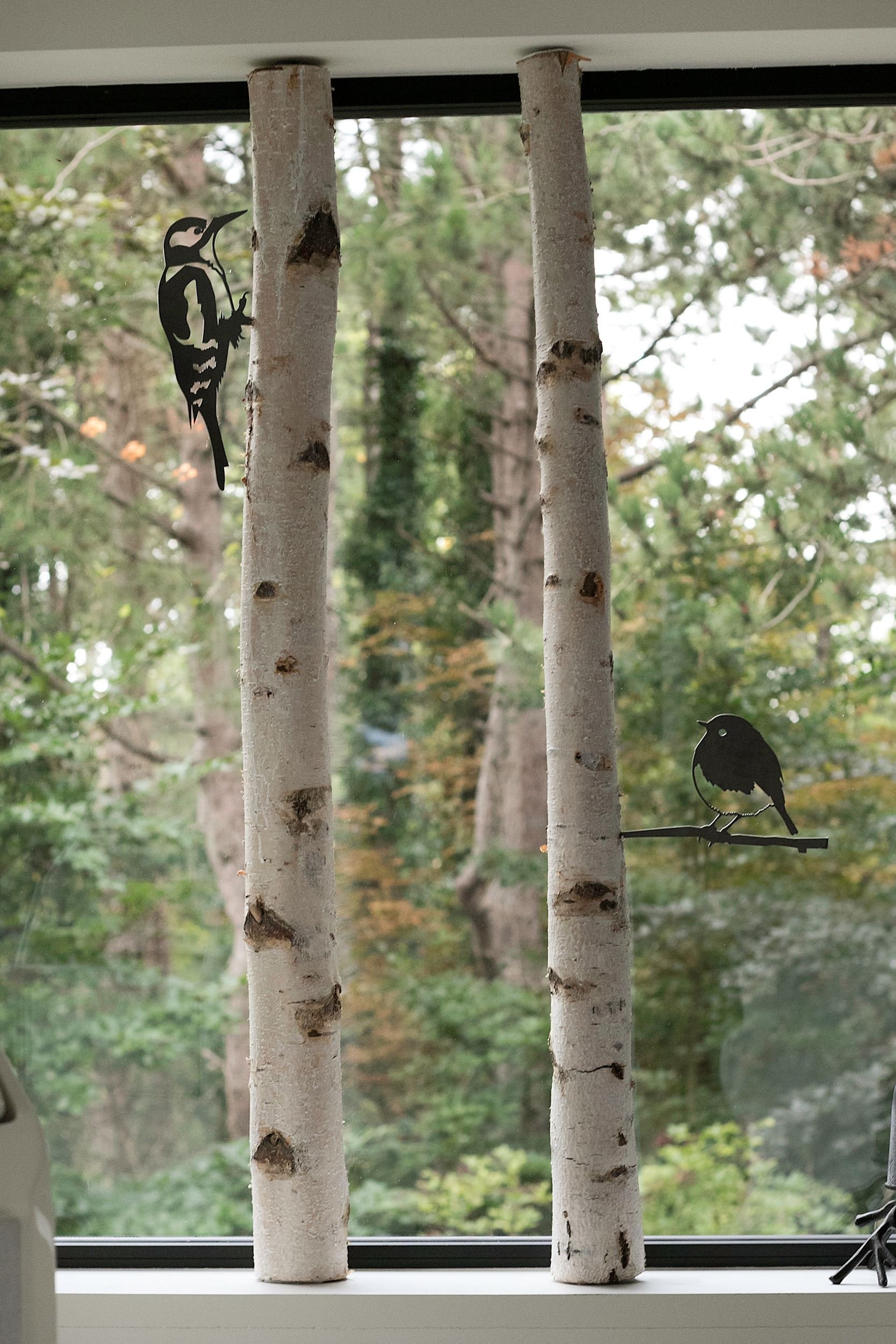 Dům obklopený lesem