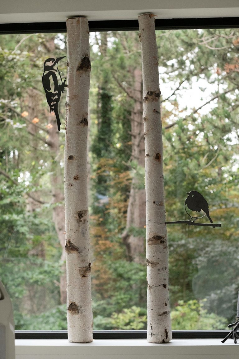 Dům obklopený lesem