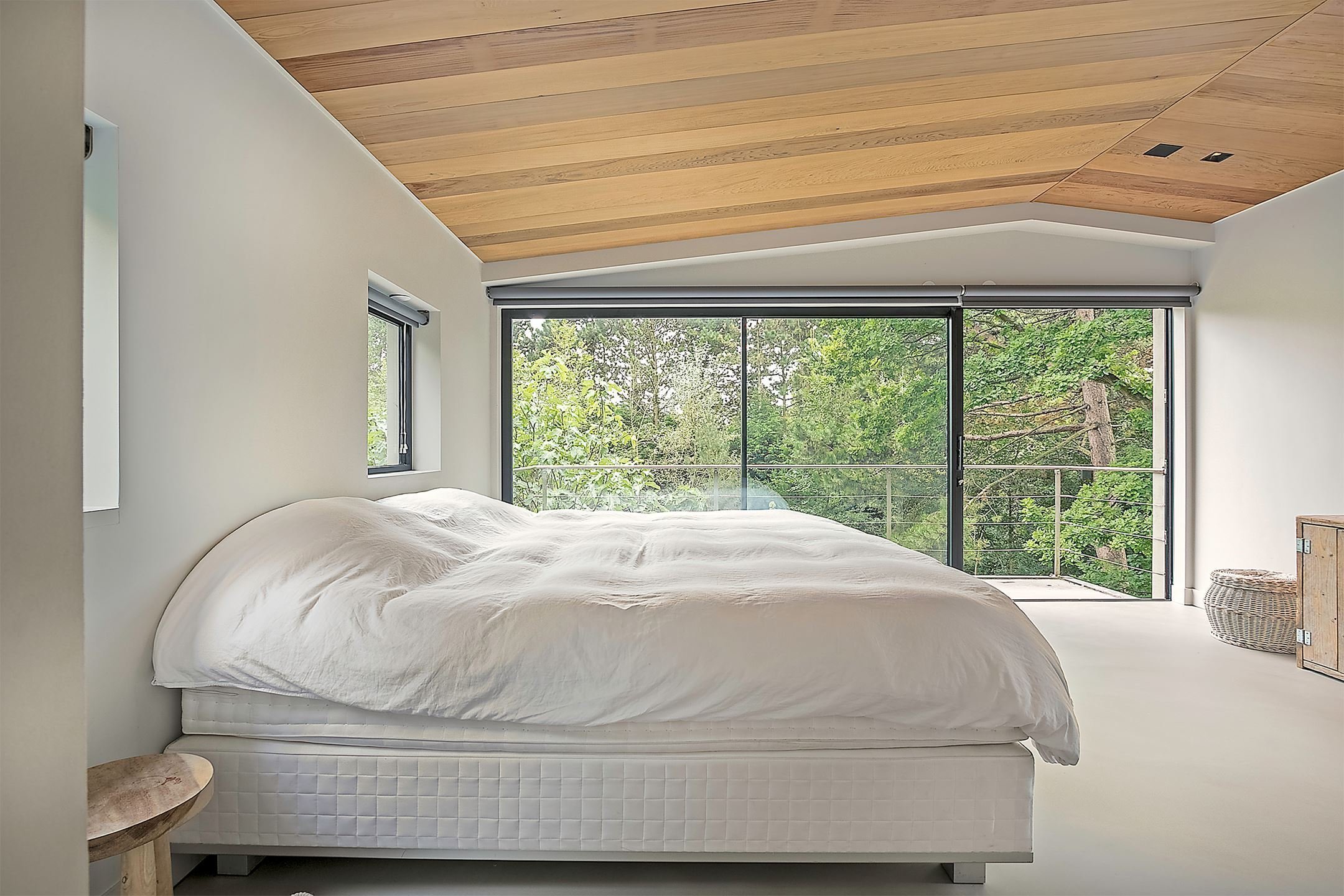 Dům obklopený lesem