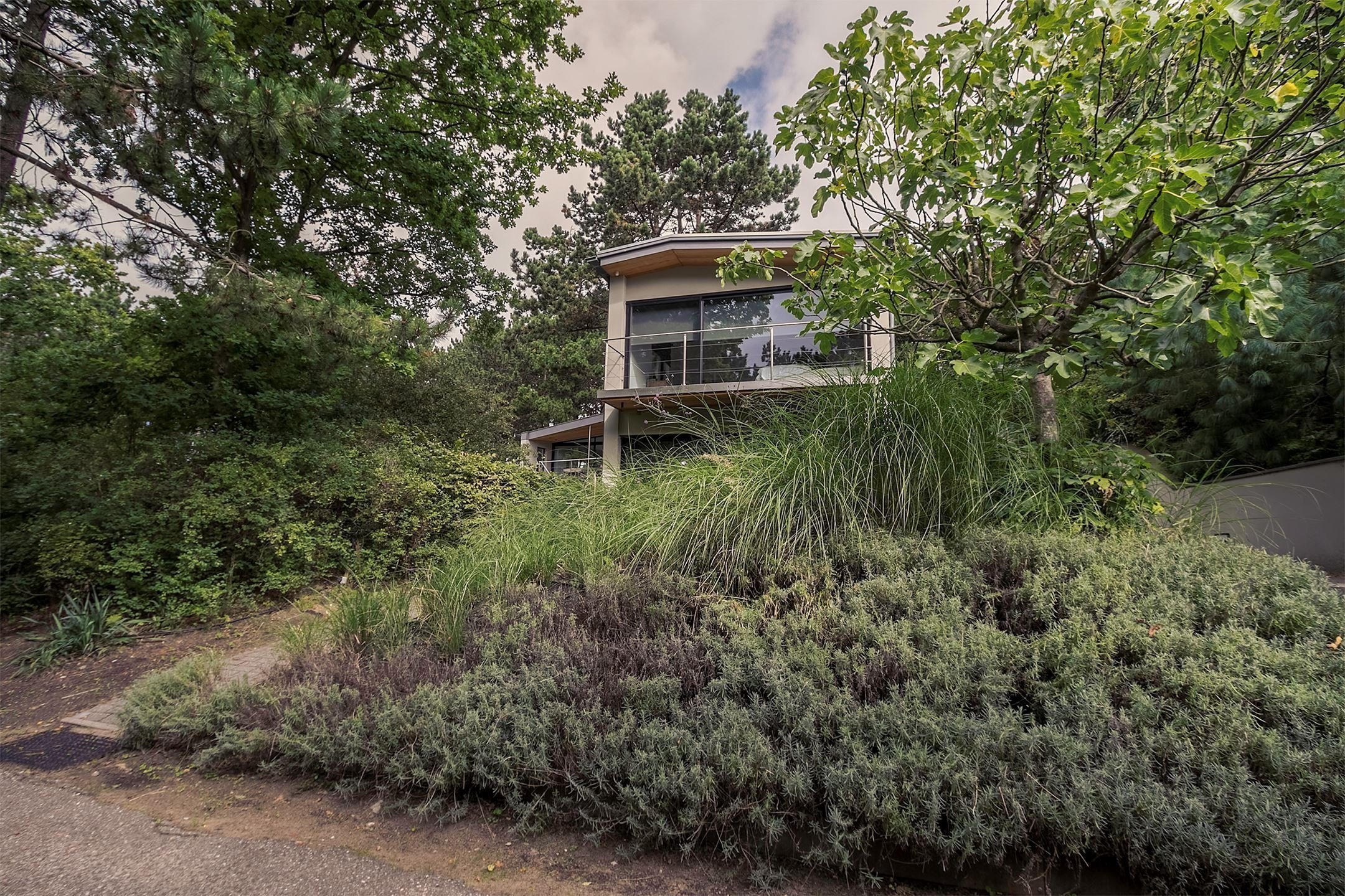 Dům obklopený lesem