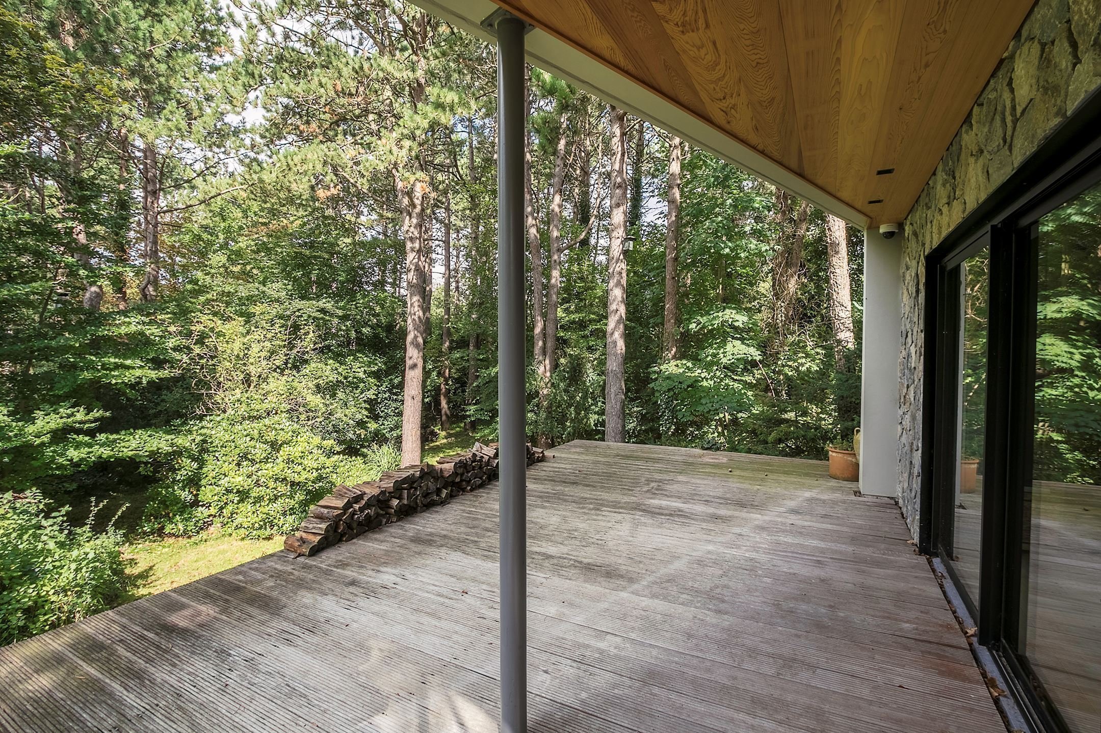 Dům obklopený lesem