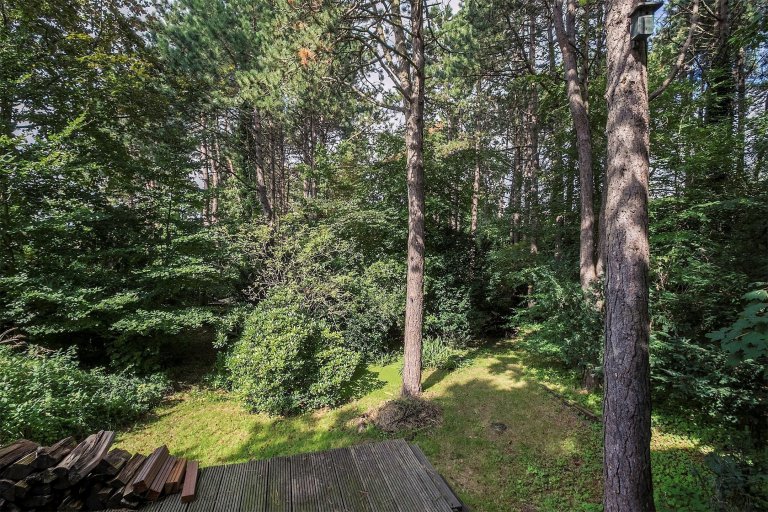 Dům obklopený lesem