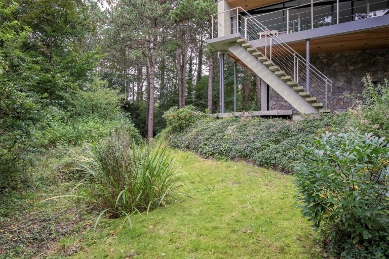 Dům obklopený lesem