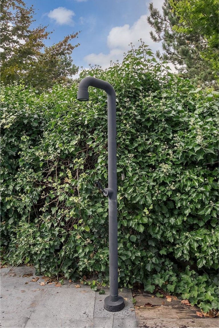 Dům obklopený lesem