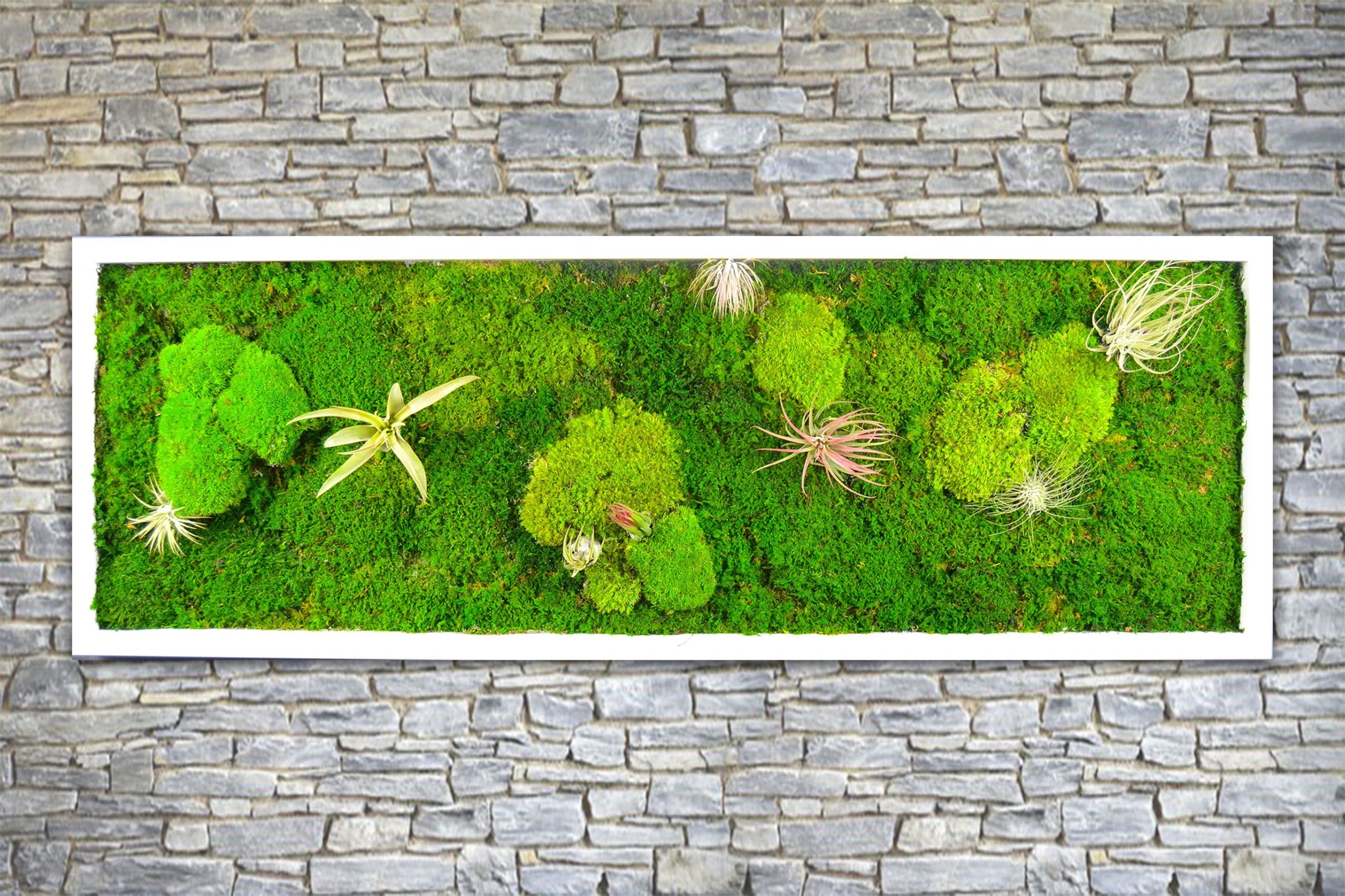 Obrazy z mumifikovaného mechu jsou výjimečný interiérový prvek