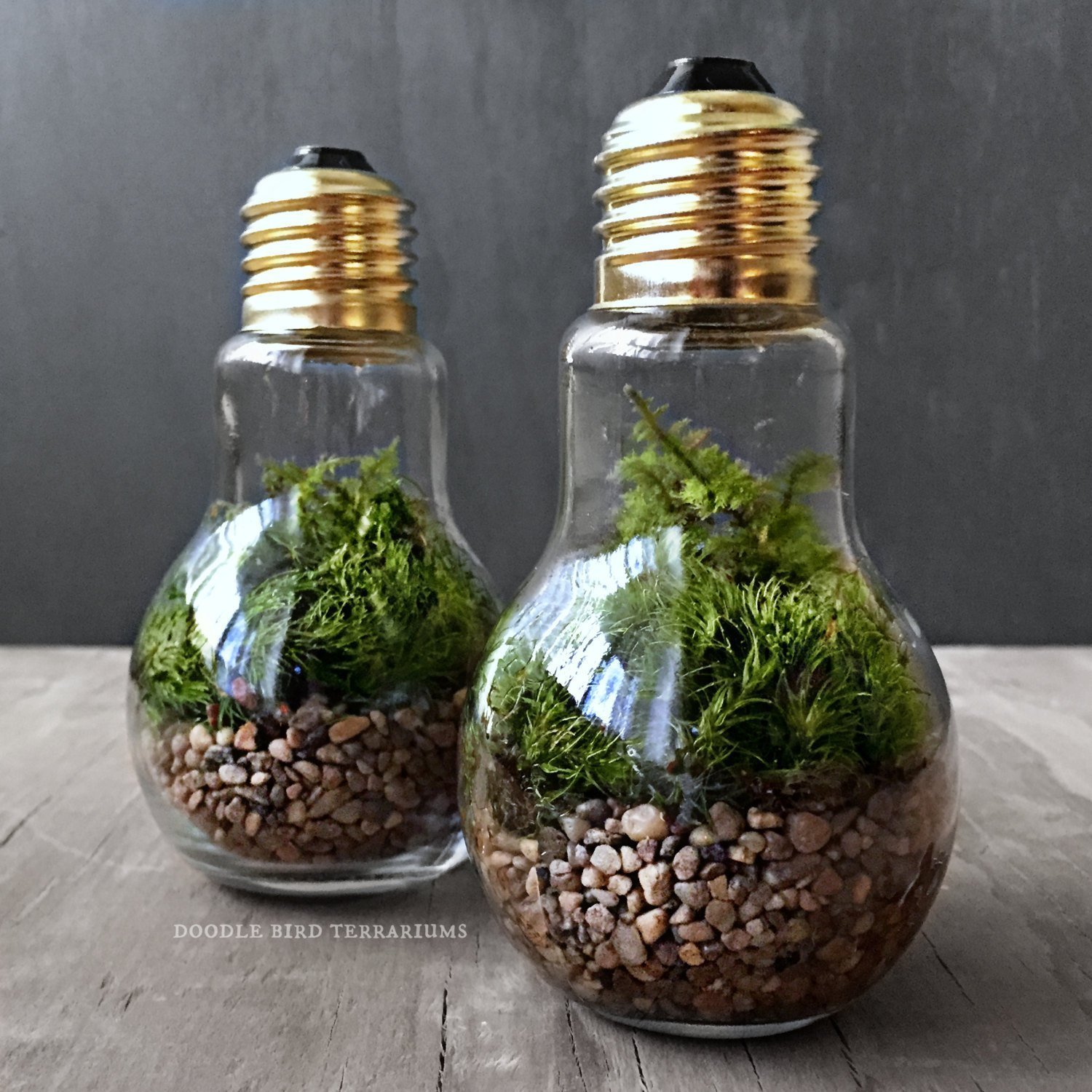 Přineste si kousek přírody domů