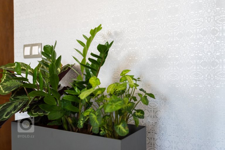 add picture to album