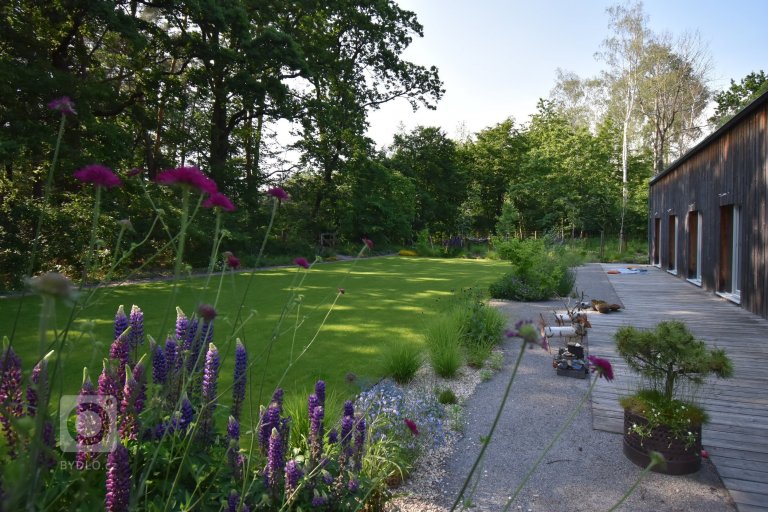 add picture to album