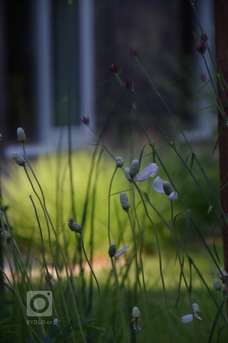 add picture to album