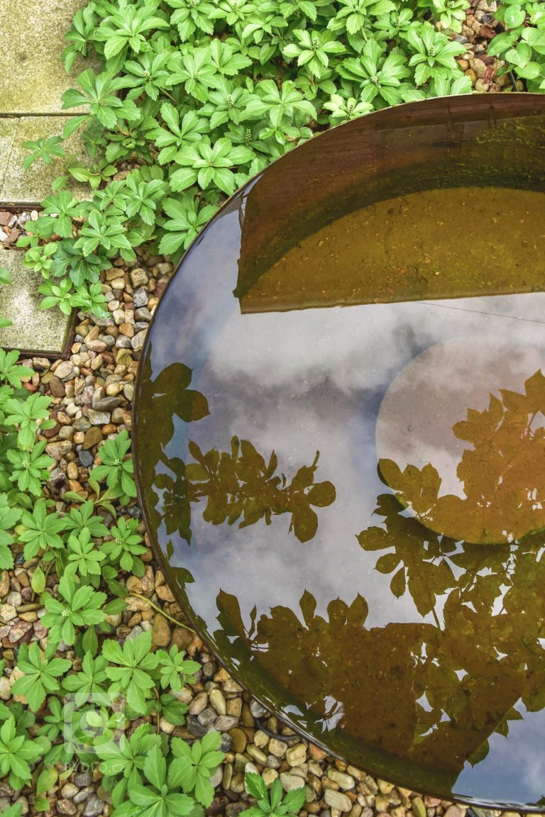 add picture to album