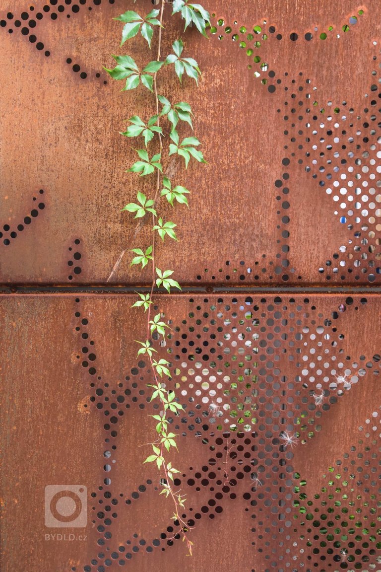 add picture to album