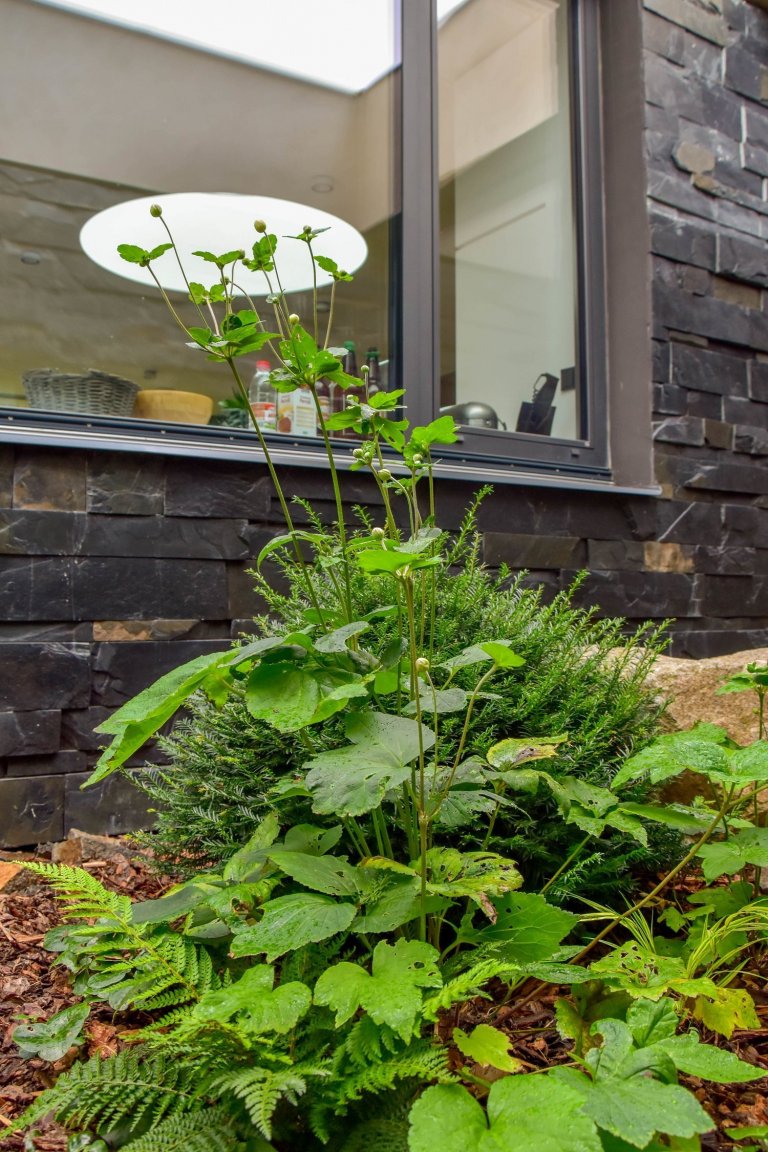 Zahradu, kterou představujeme tentokrát, jsme navrhli v těsné spolupráci s mladými architekty z atelieru Mio architects, kteří zajišťovali projekt domu.…