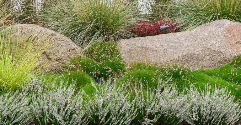 Zahradu, kterou představujeme tentokrát, jsme navrhli v těsné spolupráci s mladými architekty z atelieru Mio architects, kteří zajišťovali projekt domu.…