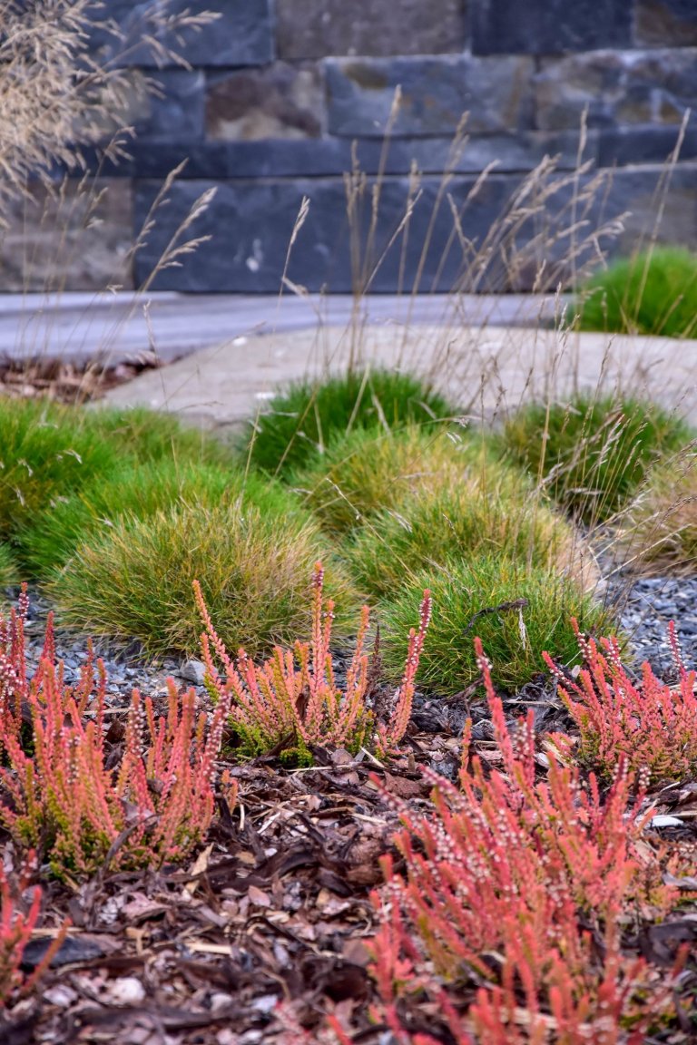 Zahradu, kterou představujeme tentokrát, jsme navrhli v těsné spolupráci s mladými architekty z atelieru Mio architects, kteří zajišťovali projekt domu.…