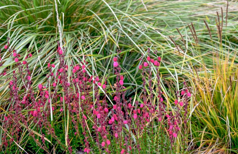 Zahradu, kterou představujeme tentokrát, jsme navrhli v těsné spolupráci s mladými architekty z atelieru Mio architects, kteří zajišťovali projekt domu.…