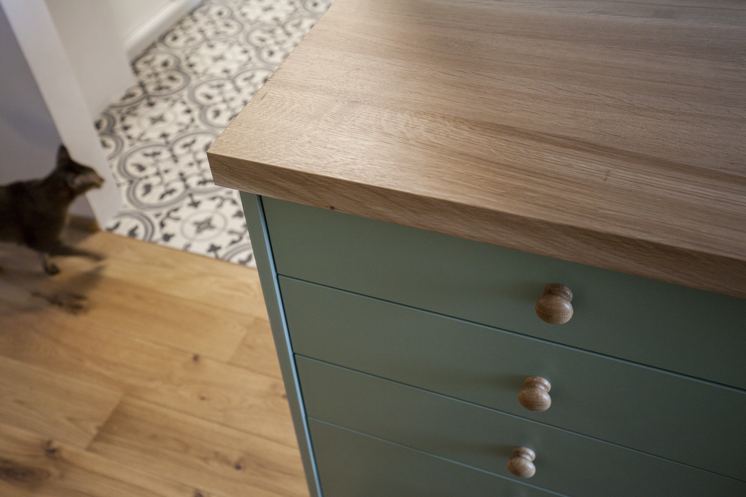 Kočičí byt v Dejvicích - příjemné bydlení na 38 m²