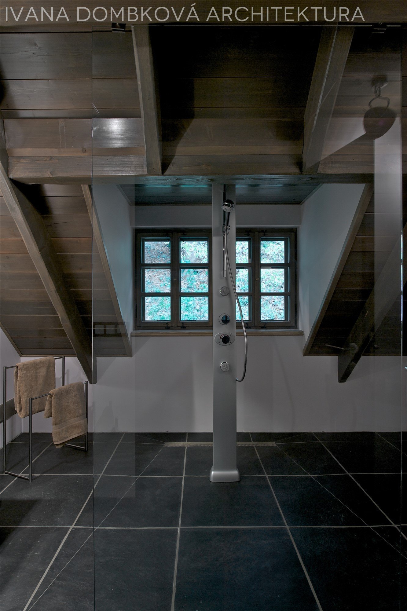 Roubenka s wellness v Orlických horách