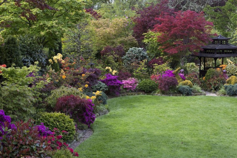 Oceňovaná zahrada hraje všemi odstíny podzimních barev