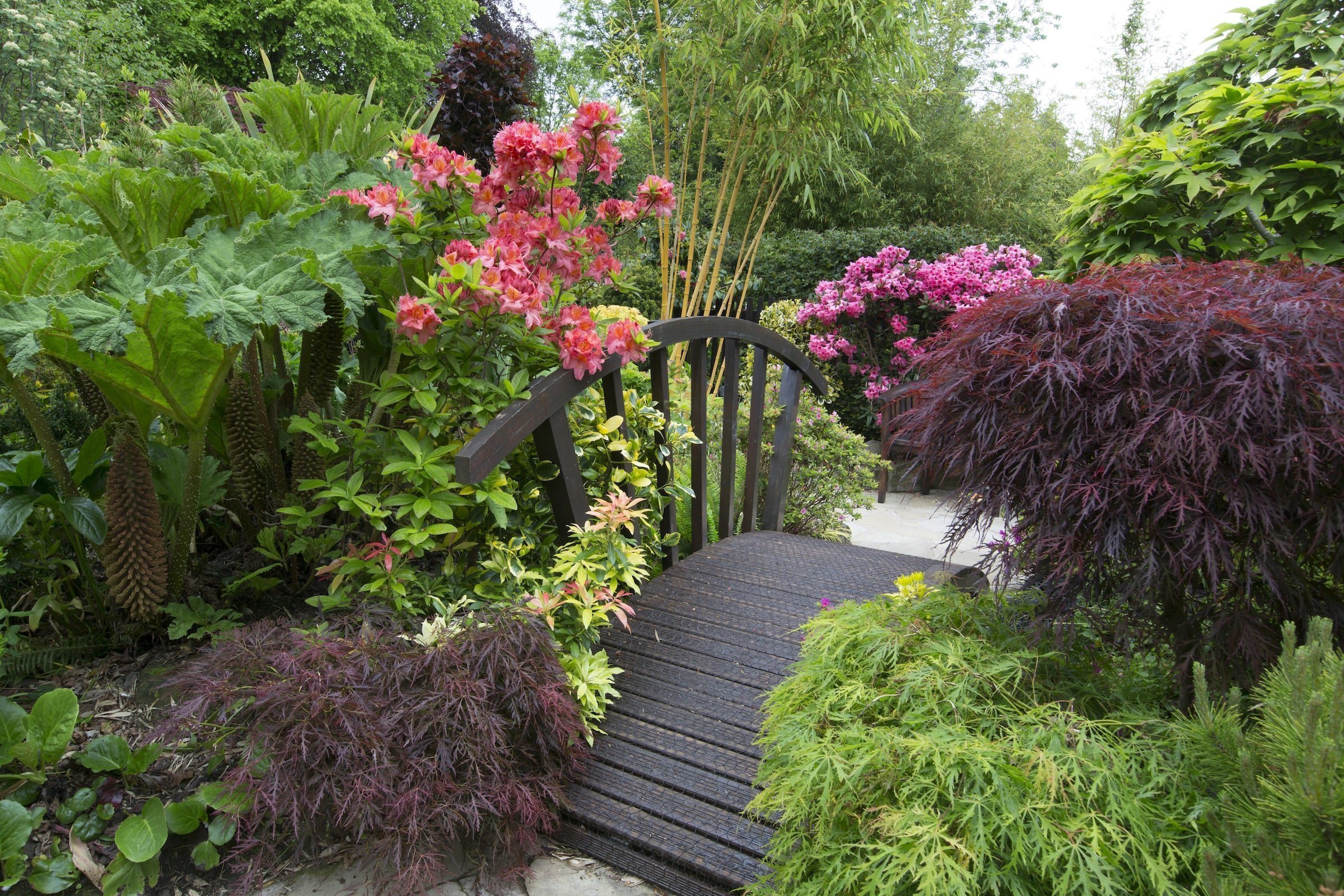 Oceňovaná zahrada hraje všemi odstíny podzimních barev