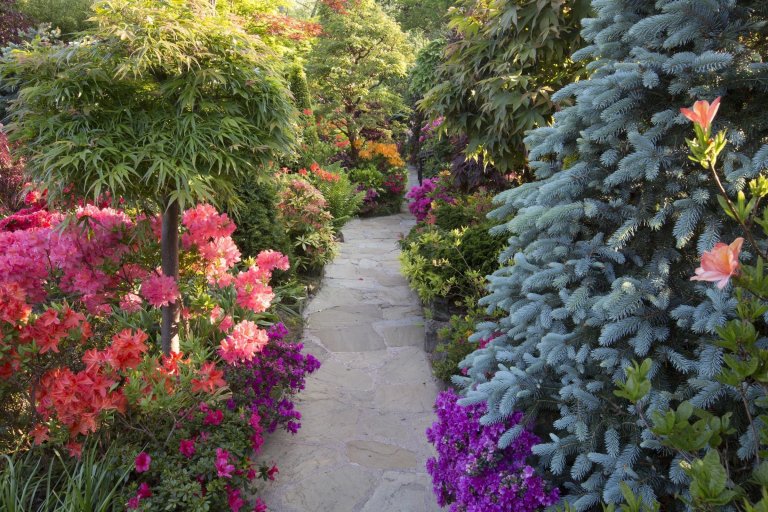 Oceňovaná zahrada hraje všemi odstíny podzimních barev