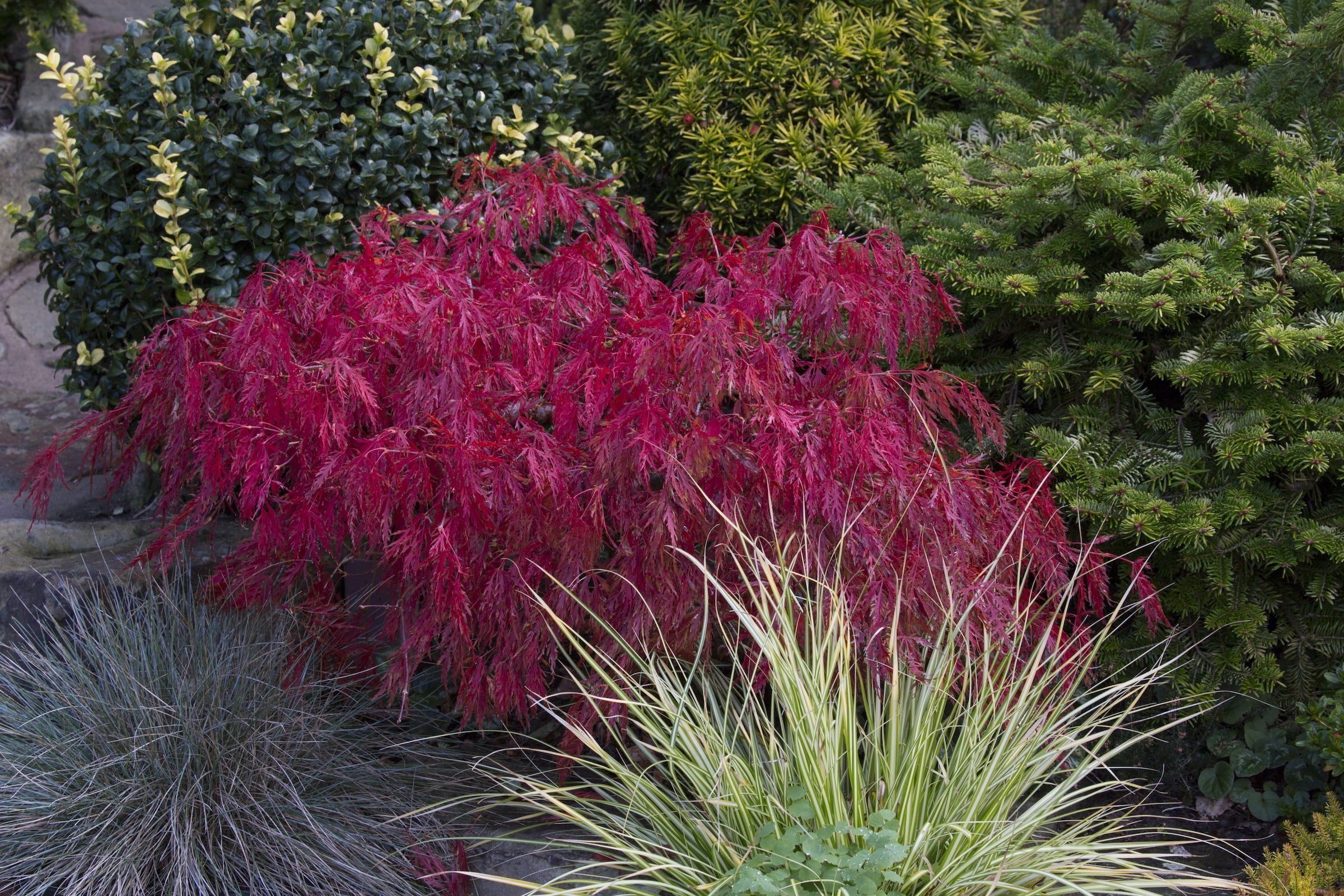Oceňovaná zahrada hraje všemi odstíny podzimních barev