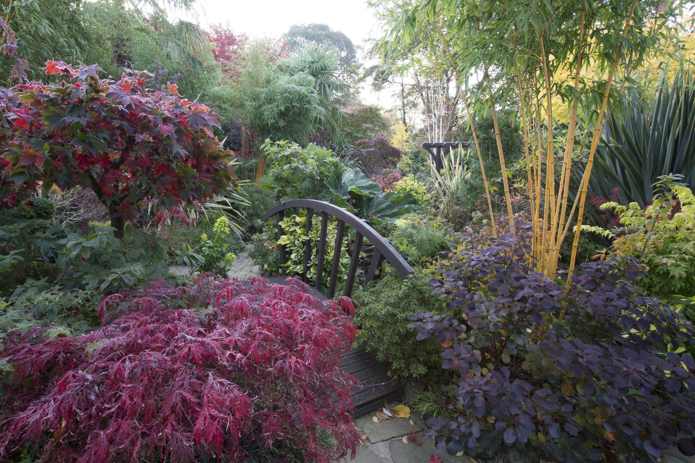 Oceňovaná zahrada hraje všemi odstíny podzimních barev