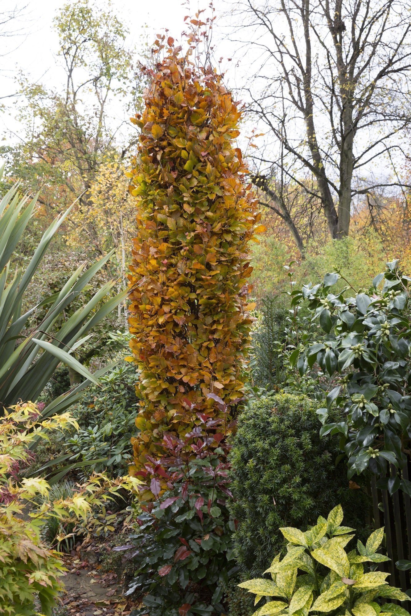 Oceňovaná zahrada hraje všemi odstíny podzimních barev