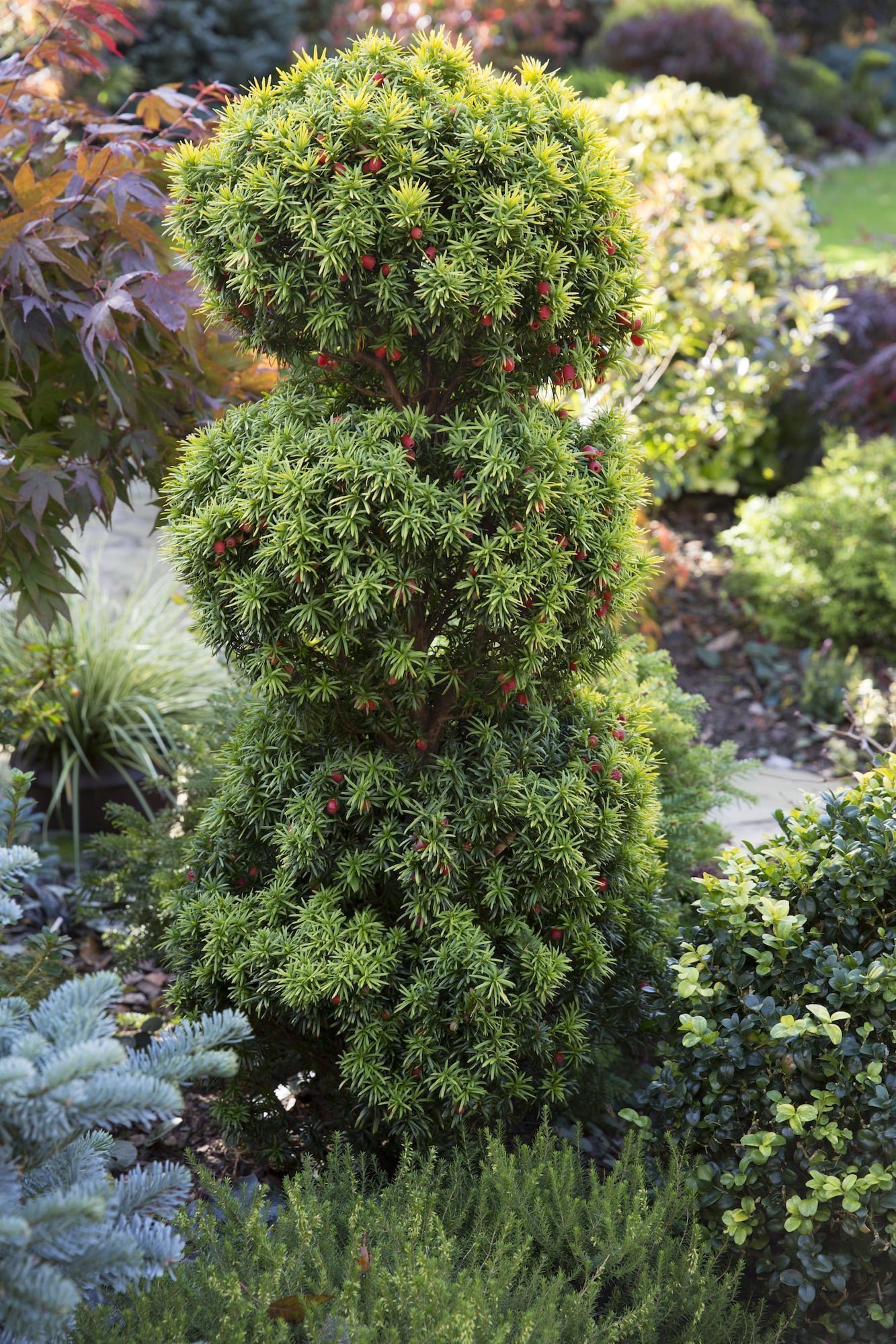 Oceňovaná zahrada hraje všemi odstíny podzimních barev