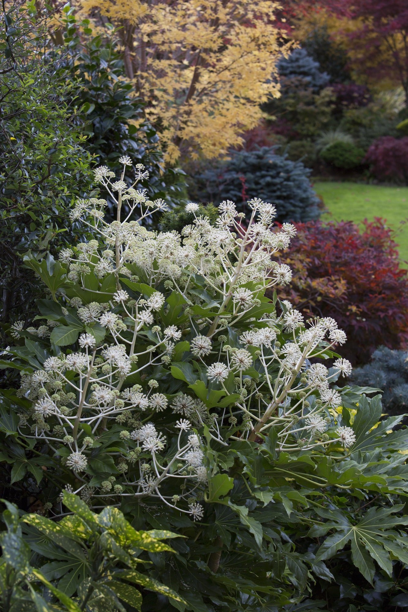 Oceňovaná zahrada hraje všemi odstíny podzimních barev
