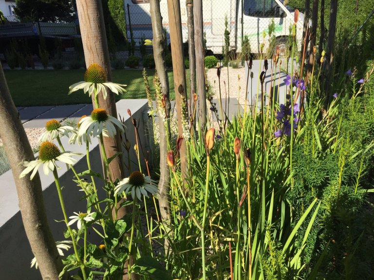 Přední část zahrady jako reprezentativní část je uzavřena v pravidelných rámech. Geometrické podíly zdůrazňují jednoduchost a eleganci, nepřitlačujíc…