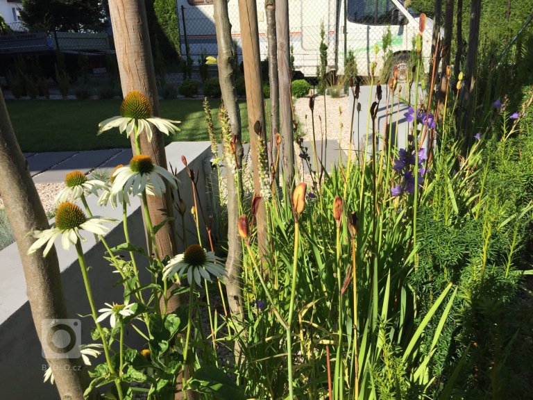 add picture to album