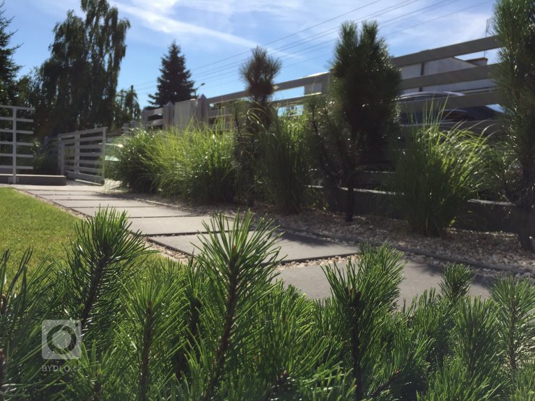 add picture to album