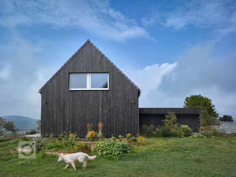 add picture to album