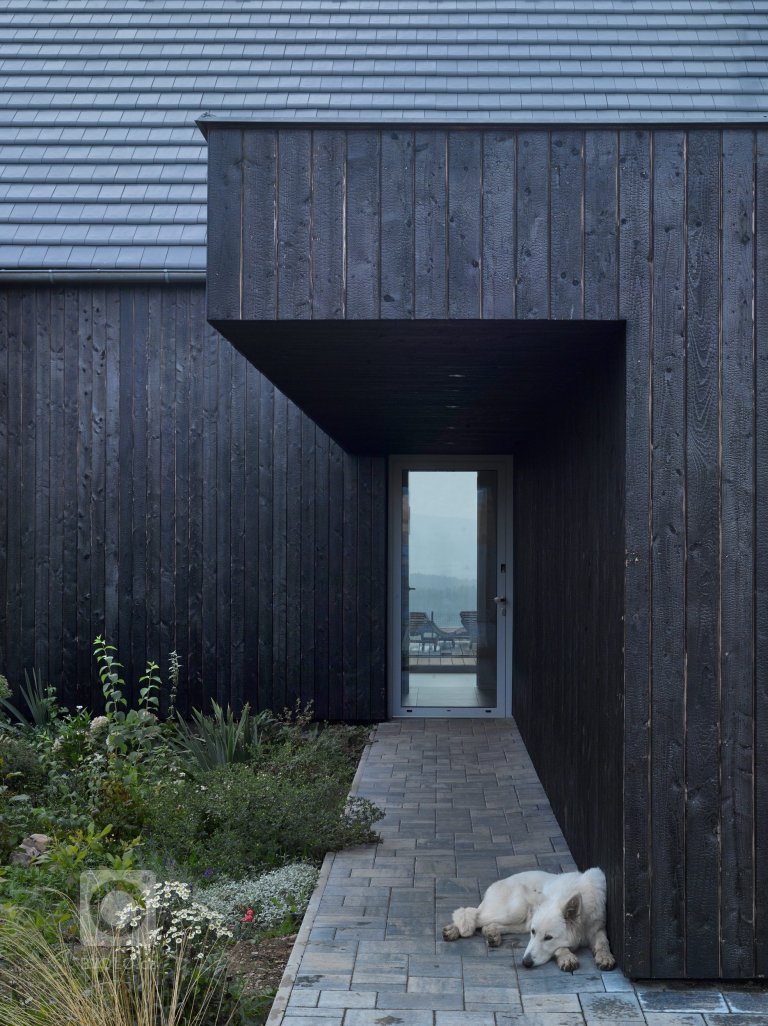 add picture to album