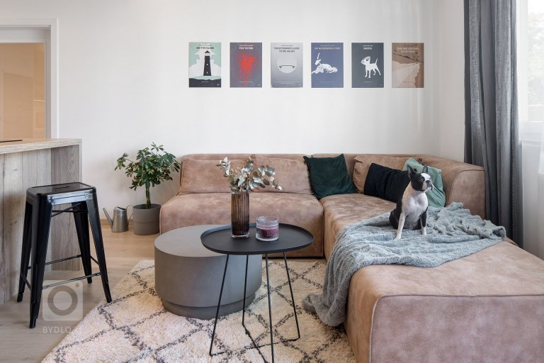 add picture to album