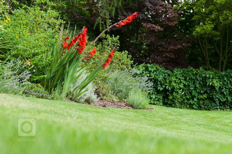 add picture to album